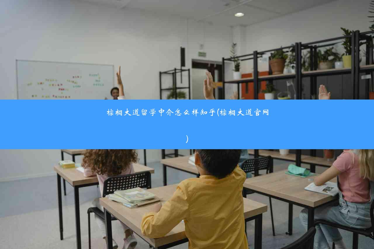 棕榈大道留学中介怎么样知乎(棕榈大道官网)